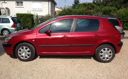 Peugeot 307 1.4 HDI Xs 2004 - vue 2