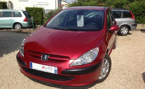 Peugeot 307 1.4 HDI Xs 2004