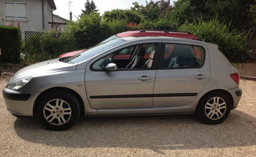 Peugeot 307 1.4 hdi 2002 - vue 2