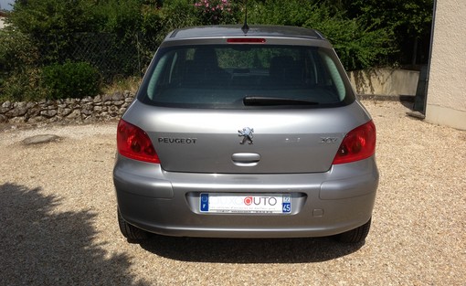 Peugeot 307 1.6 Xs 2003 - vue 4