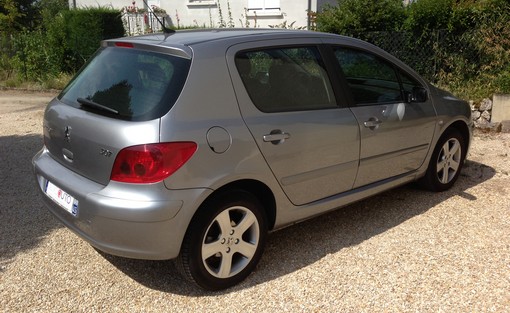 Peugeot 307 1.6 Xs 2003 - vue 5