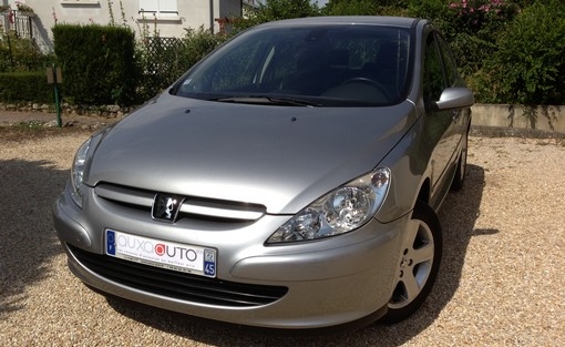 Peugeot 307 1.6 Xs 2003