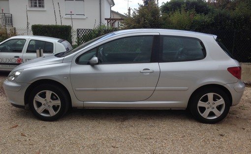 Peugeot 307 1.6 110 2005 - vue 2