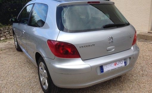 Peugeot 307 1.6 110 2005 - vue 4