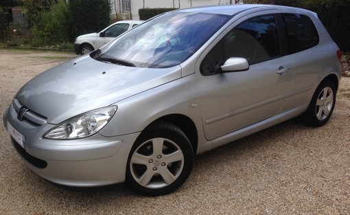 Peugeot 307 1.6 110 2005