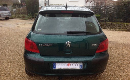 Peugeot 307 1.6 110 2002 - vue 4