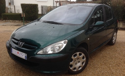 Peugeot 307 1.6 110 2002