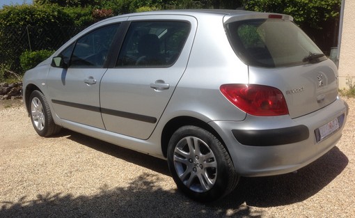 Peugeot 307 2.0 hdi 90 2004 - vue 3