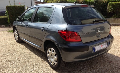 Peugeot 307 1.6 110 2006 - vue 2