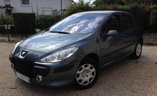 Peugeot 307 1.6 110 2006
