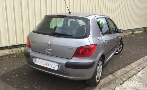 Peugeot 307 2.0 16V 2004 - vue 2