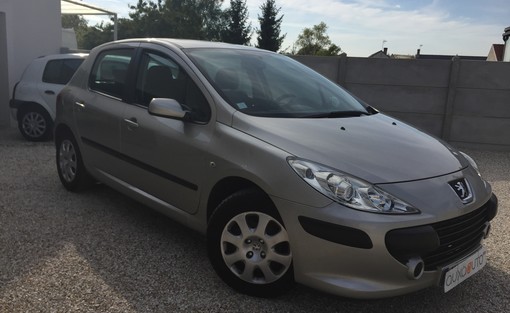 Peugeot 307 1.4 90 Ch 2005 - vue 2