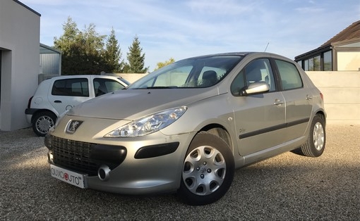 Peugeot 307 1.4 90 2007