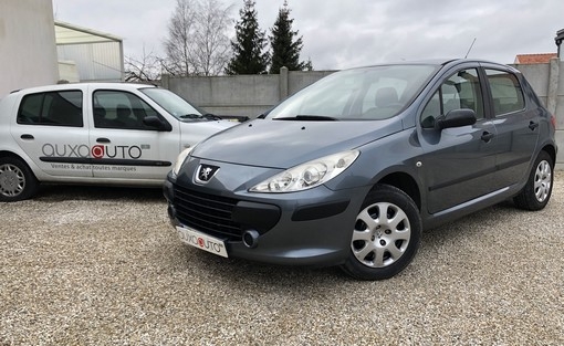 Peugeot 307 1.4 90 Ch 2006