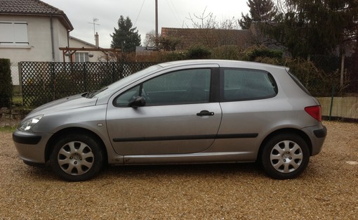Peugeot 307 1.4 HDI 70ch 2004 - vue 2
